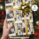 Search for funny dog wrapping paper Modern