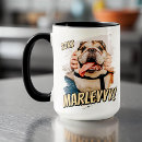 Search for for pet parents mugs For dog lover
