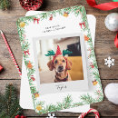 Search for funny naughty and nice christmas cards Modern