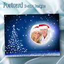 Search for tree design postcards Snow