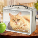 Search for photo lunch boxes Back to school