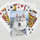 Search for photography games Dog