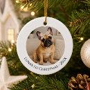 Search for french bulldog christmas tree decorations Xmas