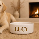 Search for food paper bowls Dogs