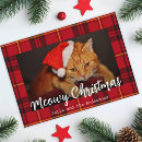 Search for meowy christmas cards Pet