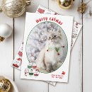 Search for cat lover christmas cards Pet photo