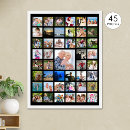 Search for pet portraits Photo collage template
