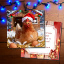 Search for funny chicken christmas cards Hen
