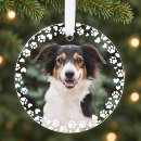 Search for commemorating christmas tree decorations For pets