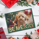 Search for pet cards Green