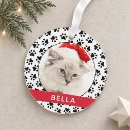 Search for paws christmas tree decorations For pets