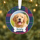 Search for bone christmas tree decorations For pets