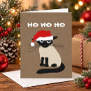 Search for siamese cats cards Cute