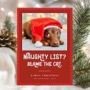 Search for funny christmas Pet christmas photo