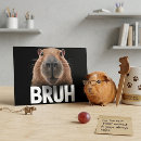 Search for funny meme postcards Internet humour