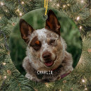 Search for phone christmas tree decorations Cat