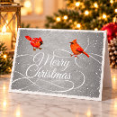 Search for red cardinal bird christmas cards Chic