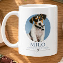Search for funny dogs mugs For pets