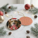 Search for corgi christmas tree decorations Pembroke welsh corgi