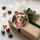 Search for cute corgi stickers Pembroke welsh corgi