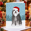Search for bearded collie cards Beardie