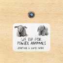 Search for magnets Cruise door