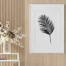 Search for black and white botanical art Nature