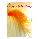 Search for beards cards Iris