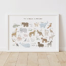 Search for abc animals posters office school Teacher