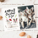 Search for meowy christmas cards Typography
