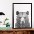 Search for black white bear posters Animal