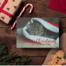 Search for merry meow christmas cards Cute