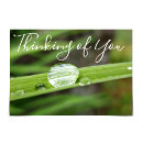 Search for raindrop cards Garden