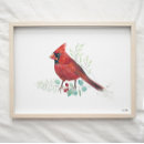 Search for watercolor cardinal bird art Nature