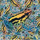 Search for frog stickers orange
