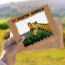 Search for thorns postcards Nature