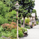 Search for steam train ties Trains