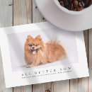 Search for dog and cat thank you cards Thanks