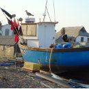 Search for boat puzzles Buildings