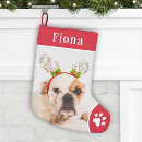 Search for english bulldog christmas decor Puppy