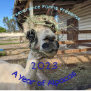 Search for alpaca calendars Animal