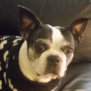 Search for christian christmas puzzles Faith