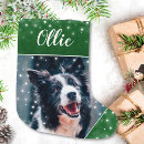 Search for pet christmas stockings Green