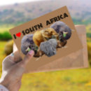 Search for elephant postcards Nature