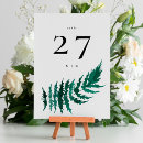 Search for fern table cards Modern botanical