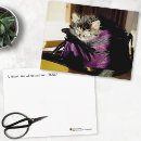 Search for crazy love postcards Kitten