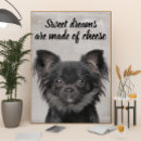 Search for chihuahua quotes Animal lover
