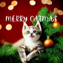 Search for purrfect christmas cards Kitten