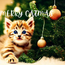 Search for purrfect christmas cards Kitten