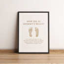 Search for how big is mommys belly Modern